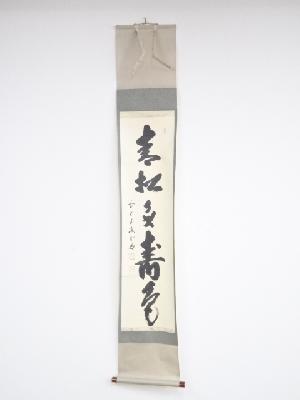 前大徳　藤井誡堂筆　「青松多寿色」一行書　肉筆紙本掛軸（共箱）